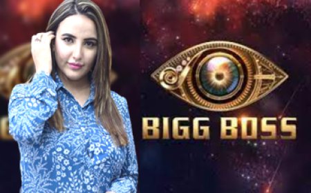 Internet Users React To Hareem Shah's Bigg Boss 17 Invitation