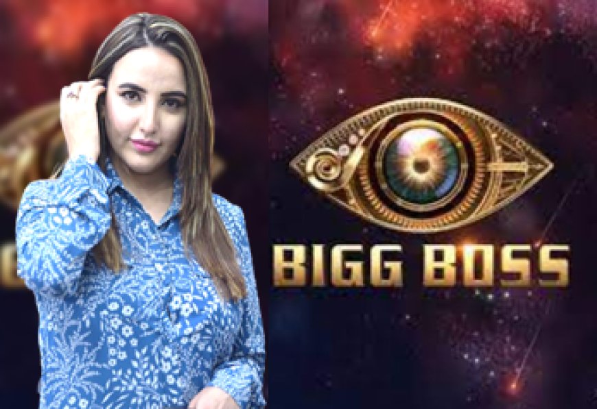 Internet Users React To Hareem Shah's Bigg Boss 17 Invitation