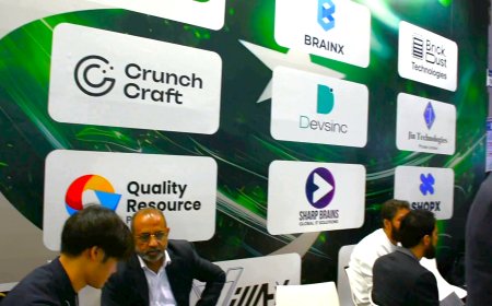 Japanese recognize Pakistani IT industry