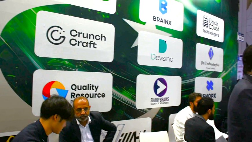Japanese recognize Pakistani IT industry
