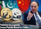 Pakistan to Launch Panda Bond in China: Aurangzeb at Davos